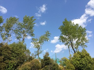 キャンパスの空-3